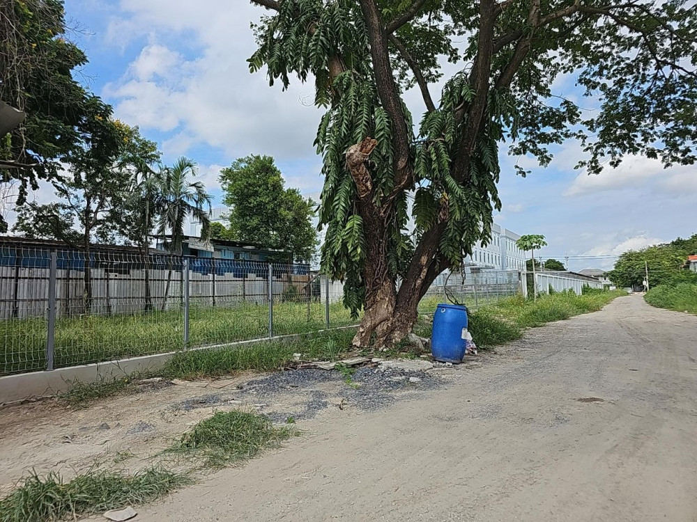 ขายที่ดินสวยใกล้ 729 ตร.ว. โซนประเวศ ใกล้เมกะบางนา